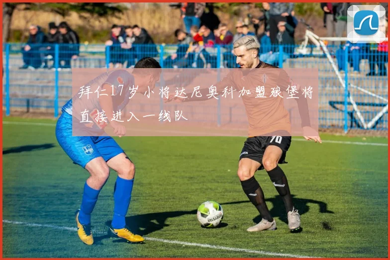 拜仁17岁小将达尼奥科加盟狼堡将直接进入一线队